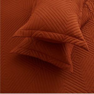 Queen Sized Burnt Orange Quilt Set
